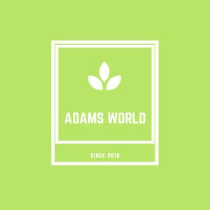 Adam Adnan